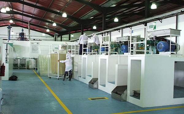 河源市草莓视频在线观看入口（chéng）米麵設備機械廠