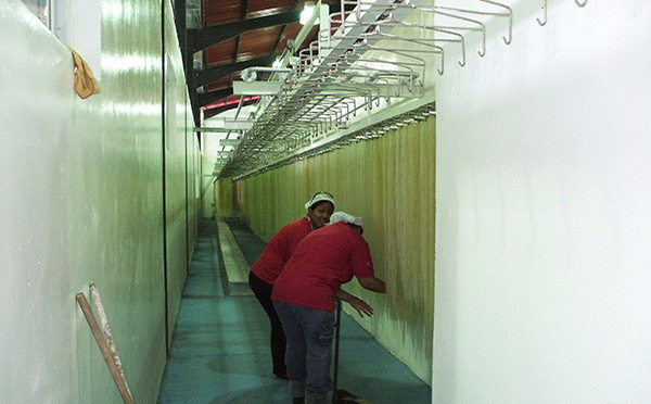 直條米粉（fěn）生產線